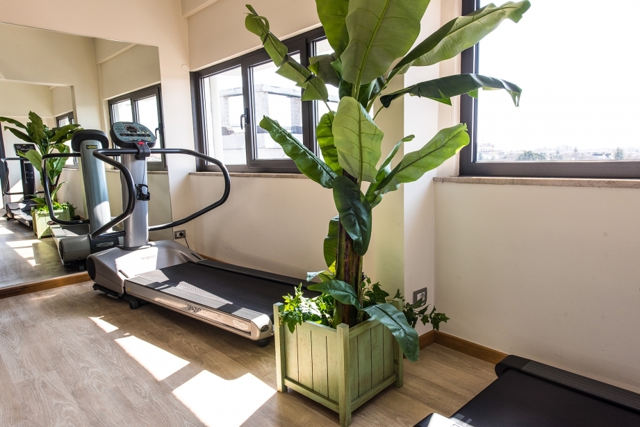Keep you fit in the gym of Hotel Touring, 4-star in Carpi